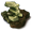 Hexx Ruins