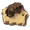 Rock Garden